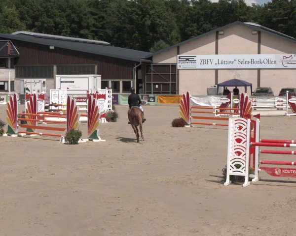 Reitturnier Olfen-Vinnum 2025
