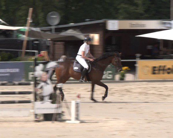 Reitturnier Olfen-Vinnum 2025