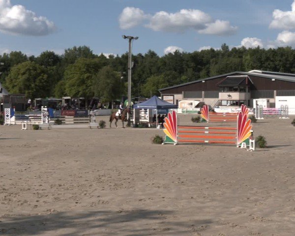 Reitturnier Olfen-Vinnum 2025