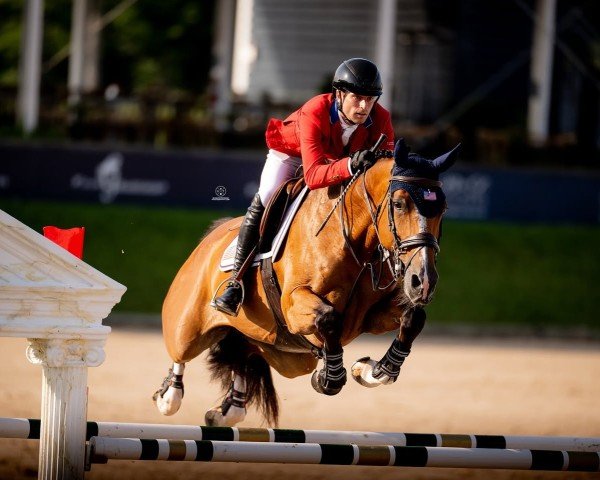 Springpferd Jecibelle (Belgium Sporthorse, 2015, von Boyfriend du Seigneur)
