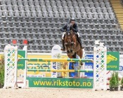jumper Imprevisto (Holsteiner, 2014, from Ivento)