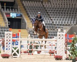 Springpferd Nice Girl van Klapscheut (Belgisches Warmblut, 2013, von Quasimodo vd Molendreef)