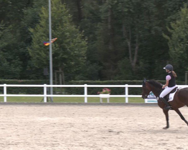 Ladelunder Springtage 2025