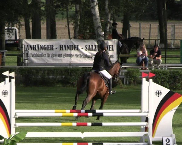 Reitturnier Etingen 2025