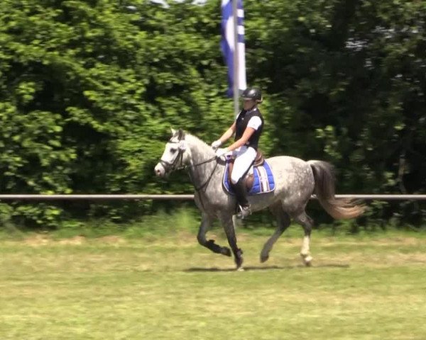 Pfingst-Reitturnier Kreuzkrug-Raddestorf 2014