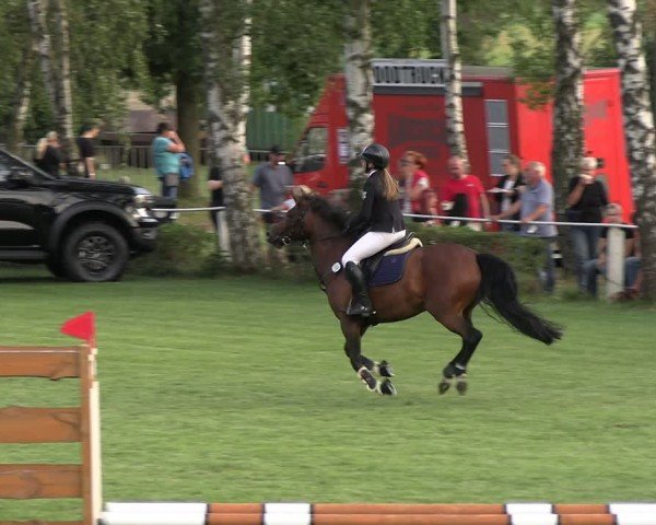 Reitturnier Etingen 2025