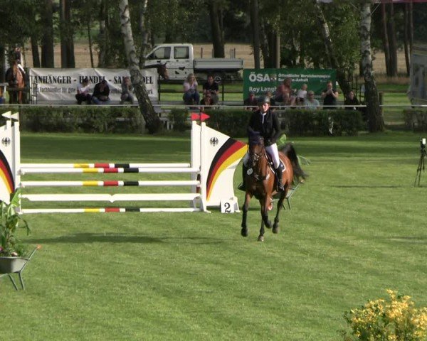 Reitturnier Etingen 2025