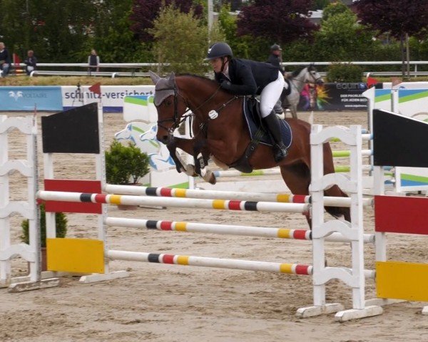 jumper Chamarel (Rhinelander, 2020, from Coreandro)