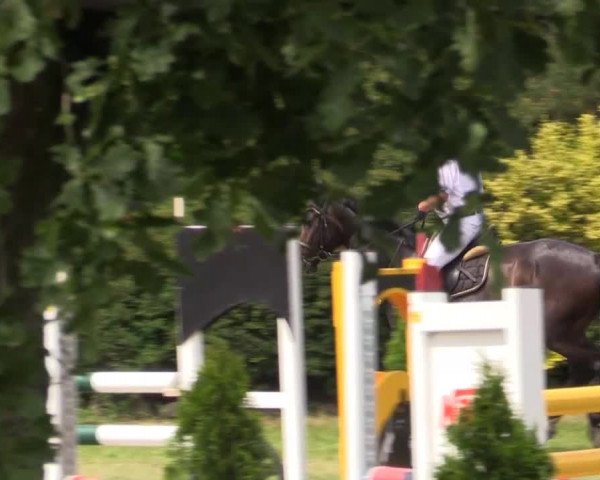 Pfingst-Reitturnier Kreuzkrug-Raddestorf 2014
