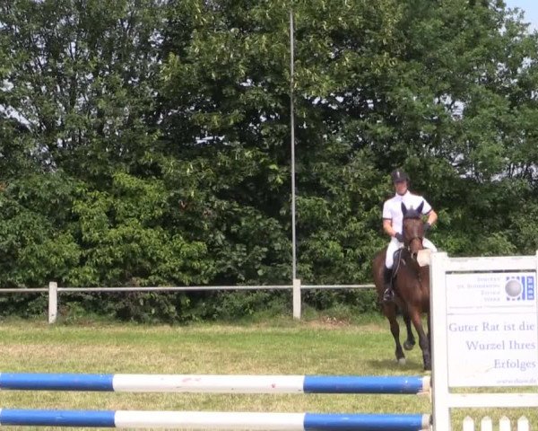 Pfingst-Reitturnier Kreuzkrug-Raddestorf 2014