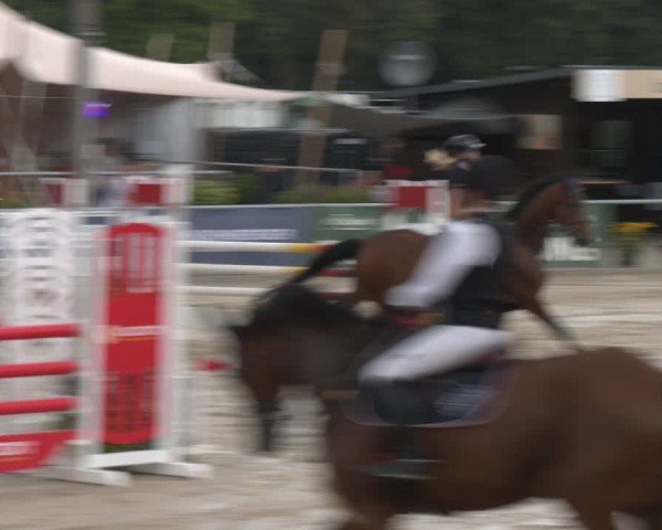 Reitturnier Olfen-Vinnum 2025