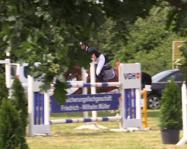 Pfingst-Reitturnier Kreuzkrug-Raddestorf 2014