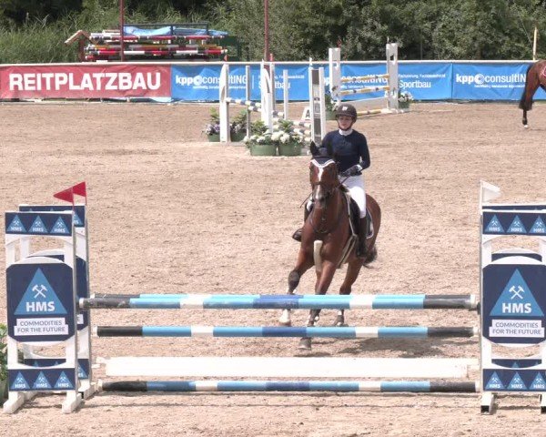 Reitturnier Lassee 2025