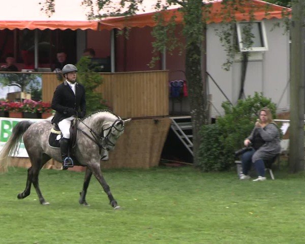 Reitturnier Etingen 2025