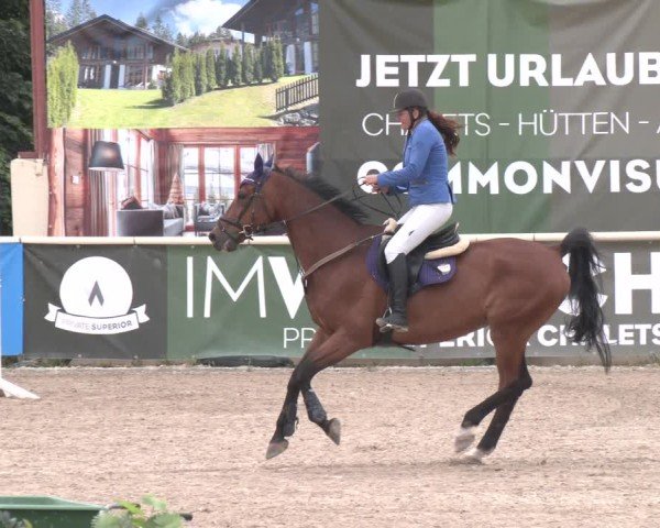 Reitturnier Lassee 2025