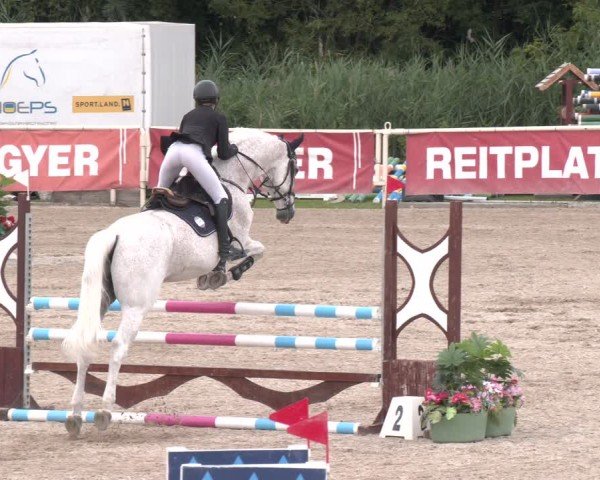 Reitturnier Lassee 2025