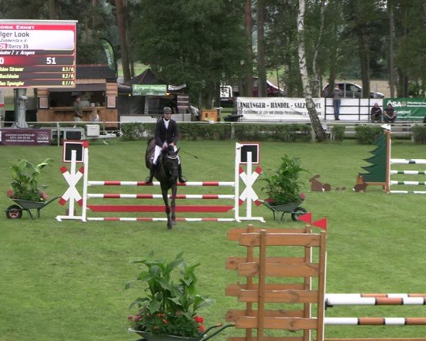 Reitturnier Etingen 2025