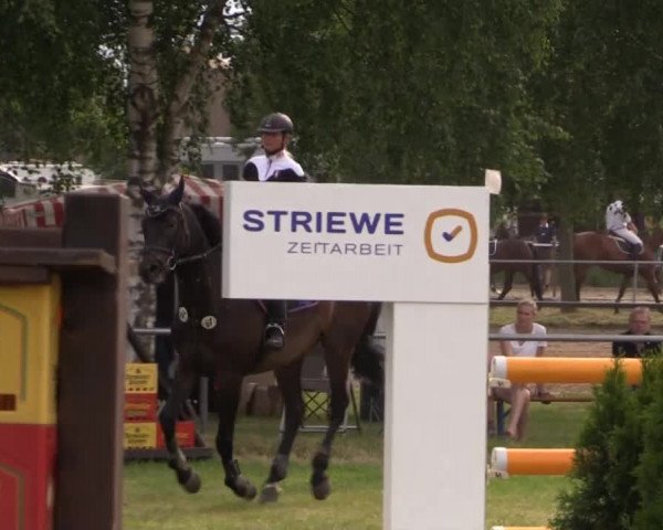Pfingst-Reitturnier Kreuzkrug-Raddestorf 2014