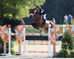 broodmare Kanny-Fee (KWPN (Royal Dutch Sporthorse), 2015, from Dexter R)