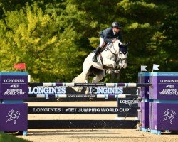 broodmare Gemma W (KWPN (Royal Dutch Sporthorse), 2011, from Luidam)