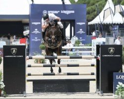 jumper Just Call Me Henry (anglo european sporthorse, 2015, from Argento)