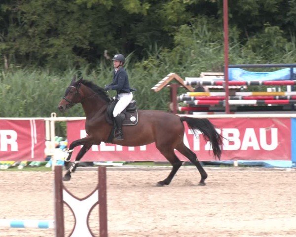 Reitturnier Lassee 2025