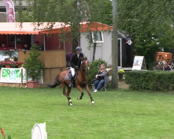 Reitturnier Etingen 2025