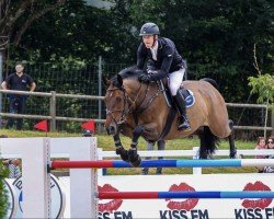jumper Cambridge (anglo european sporthorse, 2013, from Cevin Z)