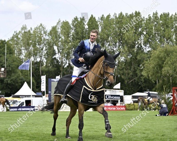 broodmare Jalellah OL (Oldenburg show jumper, 2008, from Chacco-Blue)