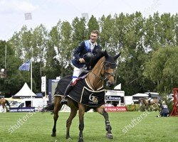 broodmare Jalellah OL (Oldenburg show jumper, 2008, from Chacco-Blue)