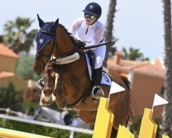 jumper Kiana (KWPN (Royal Dutch Sporthorse), 2015, from Goodyear VDL)