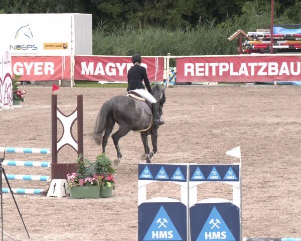 Reitturnier Lassee 2025