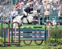 jumper Galtur (anglo european sporthorse, 2010, from Cornet's Stern)