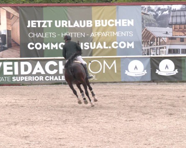 Reitturnier Lassee 2025