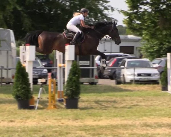 Pfingst-Reitturnier Kreuzkrug-Raddestorf 2014