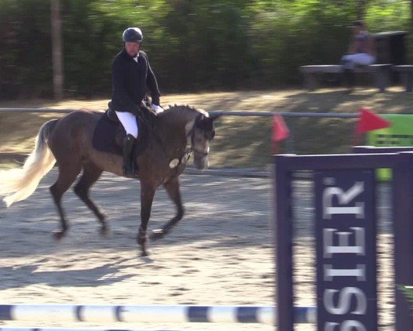 Reitturnier Bad Wildungen 2025