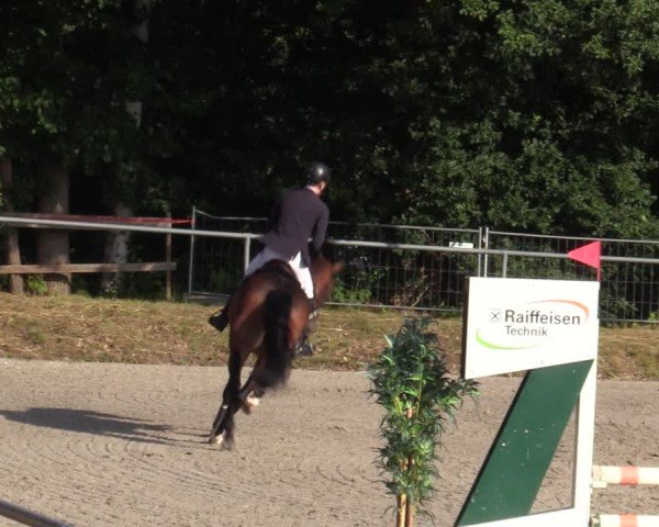 Reitturnier Bad Wildungen 2025