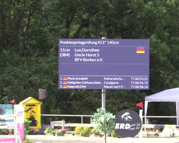 Reitturnier Bad Wildungen 2025