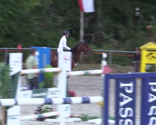 Reitturnier Bad Wildungen 2025