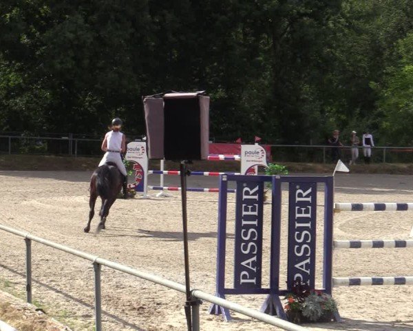 Reitturnier Bad Wildungen 2025