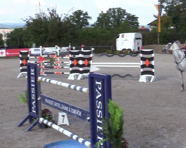 Reitturnier Bad Wildungen 2025