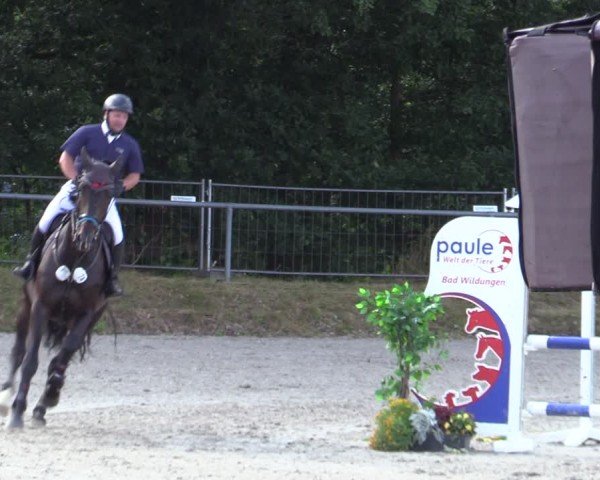 Reitturnier Bad Wildungen 2025