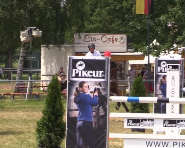 Pfingst-Reitturnier Kreuzkrug-Raddestorf 2014