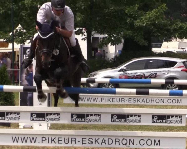 Pfingst-Reitturnier Kreuzkrug-Raddestorf 2014
