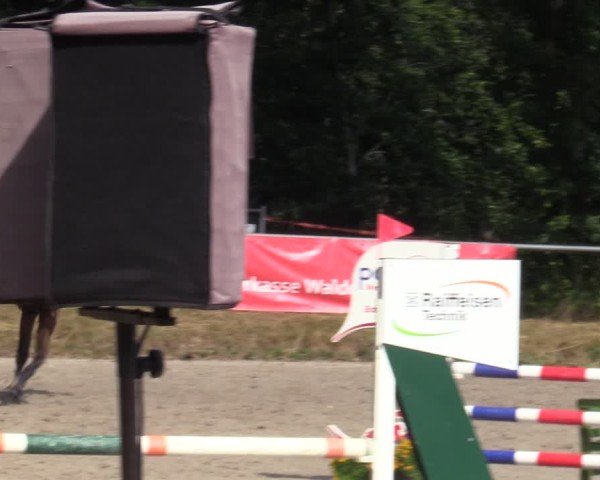 Reitturnier Bad Wildungen 2025