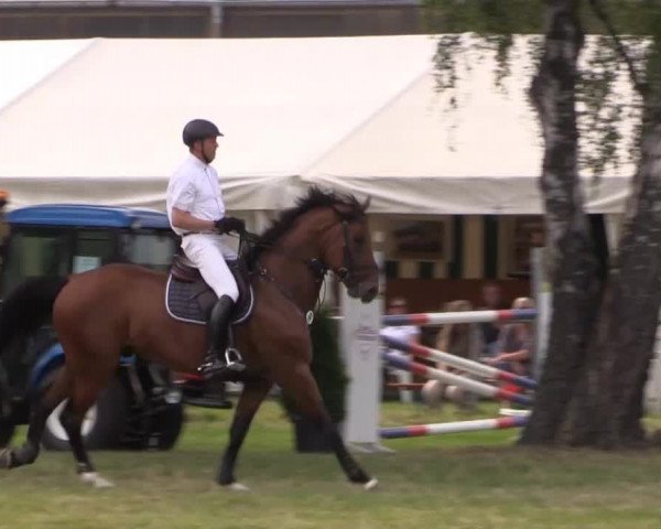 Pfingst-Reitturnier Kreuzkrug-Raddestorf 2014