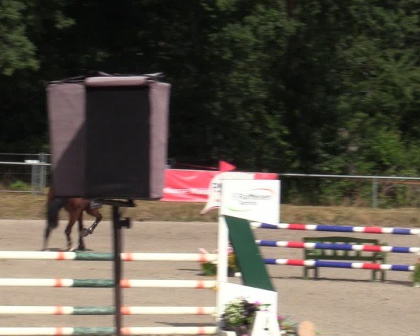 Reitturnier Bad Wildungen 2025