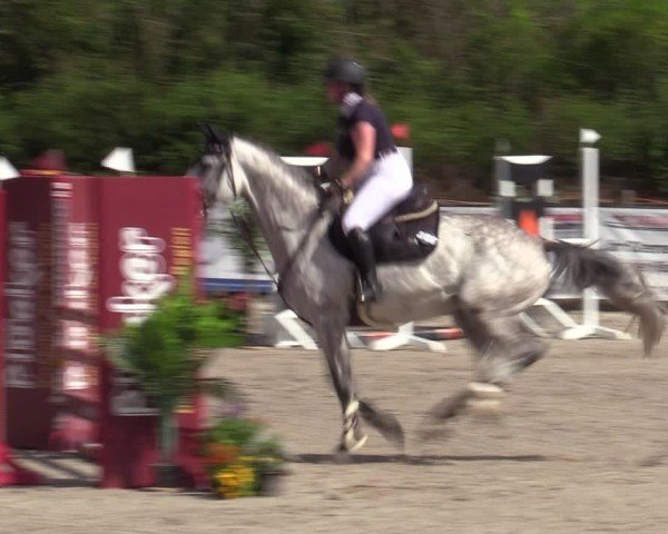 Reitturnier Bad Wildungen 2025