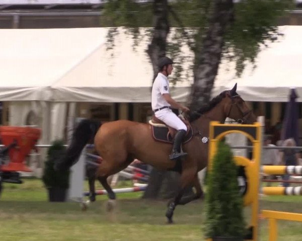 Pfingst-Reitturnier Kreuzkrug-Raddestorf 2014