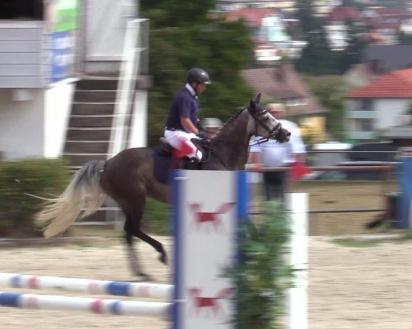 Reitturnier Bad Wildungen 2025